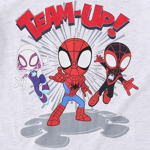 Marvel Spidey & His Amazing Friends Boys 4 Pack T Shirt for Toddler and Big Kids