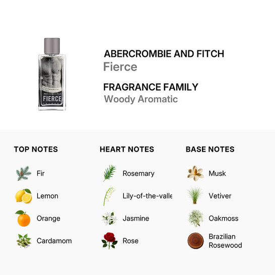 Men s Fierce EDC Spray 3 38 oz  Tester  Fragrances 00