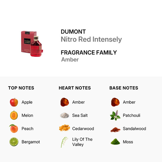 Men s Nitro Red Intensely EDP Spray 3 4 oz Fragrances