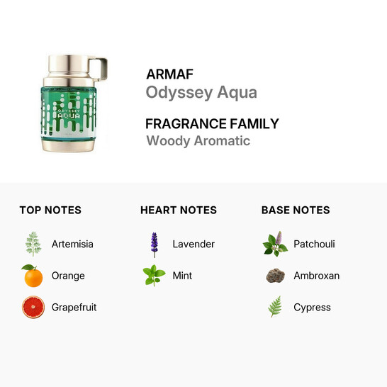 Men s Odyssey Aqua EDP Spray 3 4 oz Fragrances