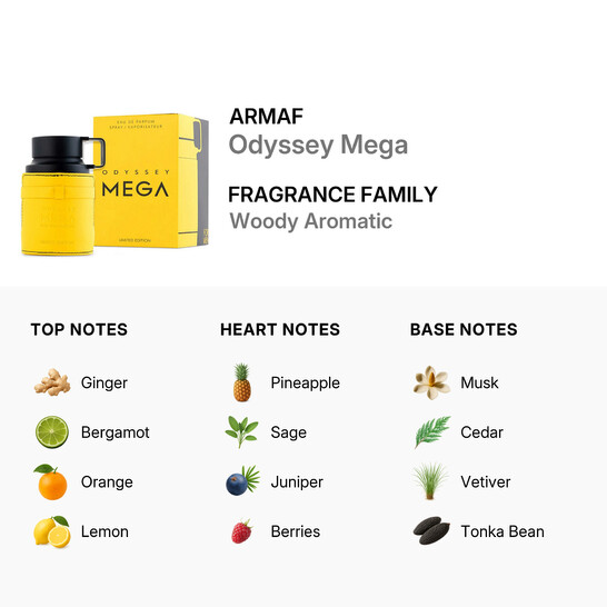 Men s Odyssey Mega EDP 3 4 oz Fragrances