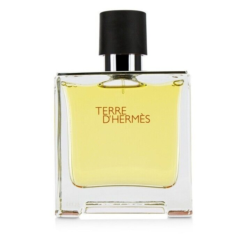 Men s Terre D  Parfum 2 5 oz Fragrances