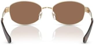 Michael Kors womens Mk1161 Monte Carlo Oval Sunglasses