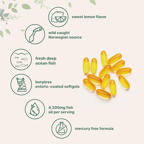 Micro Ingredients Aceite de pescado Omega-3 4,200 mg y CoQ10 100 mg cápsulas blandas paquete de 2 unidades | Pescado capturado en la naturaleza, sin eructos, sabor a limón | Ubiquinona de alta
