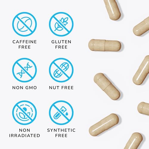 Mind Lab Pro  MLP  v4 Universal Nootropic  Brain Booster Supplement for Focus  Memory  Clarity  Energy   60 Count   Plant Based  Naturally Sourced Memory Vitamins for Better Brain Health  Made in USA