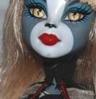 Monster High Dolls Sets inc Some Original Accessories   Choose from Various