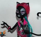 Monster High Dolls Sets inc Some Original Accessories   Choose from Various