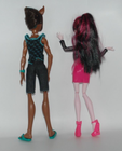 Monster High Dolls Sets inc Some Original Accessories   Choose from Various