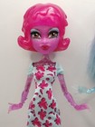 Monster High Dolls Sets inc Some Original Accessories   Choose from Various