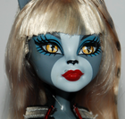 Monster High Dolls Sets inc Some Original Accessories   Choose from Various