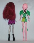 Monster High Dolls Sets inc Some Original Accessories   Choose from Various