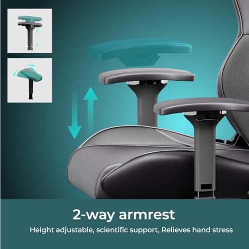 Morphling Heavy Duty Gaming Chair for Adults and 300LBS Reinforced Base Thickened Seat Cushion  Adjustable Armrest  Enlarge and Widen Ergonomic Office Computer Chair  C L20B