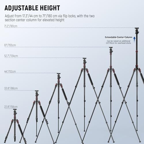 NEEWER Basics Camera Tripod Monopod  71 Aluminum Heavy Duty Portable Travel DSLR Cell Phone Stand with 360  Ball Head Cellphone Holder Mount Compatible with iPhone for Filming Video Recording  TP15
