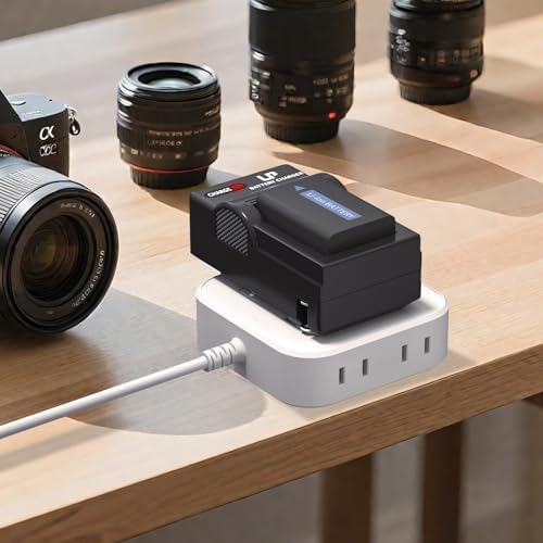 NP FW50 Battery Charger  LP Charger Compatible with Sony Alpha A6000  A6400  A6100  A6300  A6500  A5100  A7  A7 II  A7R  A7R II  A7R2  A7S  A7S II  A7S2  A5000  A3000  A55  RX10  NEX 3/5/7 Series