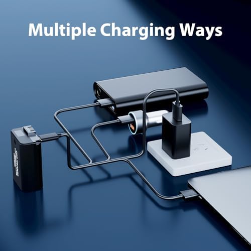 NP FW50 Battery Charger  LP Charger Compatible with Sony Alpha A6000  A6400  A6100  A6300  A6500  A5100  A7  A7 II  A7R  A7R II  A7R2  A7S  A7S II  A7S2  A5000  A3000  A55  RX10  NEX 3/5/7 Series