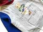 NWT Polo Ralph Lauren Boys Polo Bear Student Gray Colorblock Fleece Hoodie 10 12