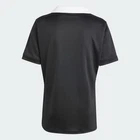 TALLA M - NWT  95 Adidas All Blacks New Zealand Rugby Jersey New Men s Sz S M L XL IX3112