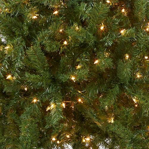 National Tree Company Pre Lit Artificial Medium Christmas Tree  Green  Kincaid Spruce  White Lights  Includes Stand  6 Feet