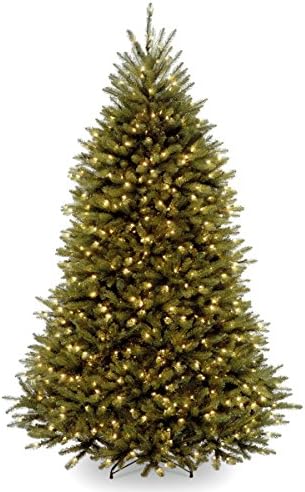 National Tree Company 6 ft Pre Lit Dunhill Fir Artificial Christmas Tree  600 Warm White LED Lights  1 430 Tips  Includes Stand  Green