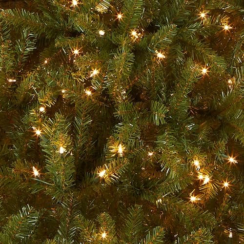 National Tree Company 6 ft Pre Lit Dunhill Fir Artificial Christmas Tree  600 Warm White LED Lights  1 430 Tips  Includes Stand  Green