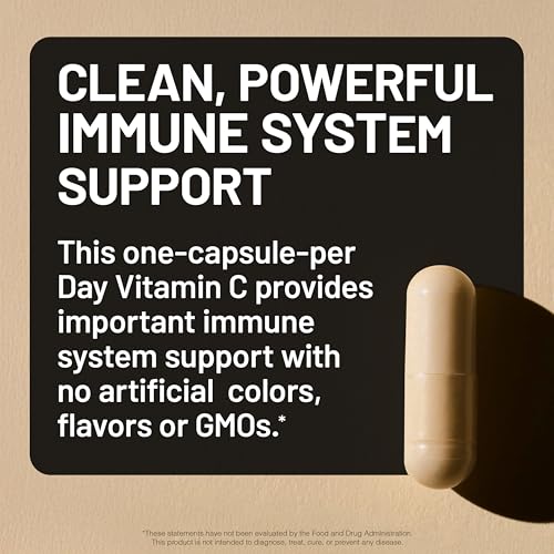 NatureWise Vitamin C 1000mg Capsules   Extra Strength Vegan Vitamin C for Daily Antioxidant & Immune Support   Non GMO  USA Manufactured   60 Capsules 60 Day Supply 