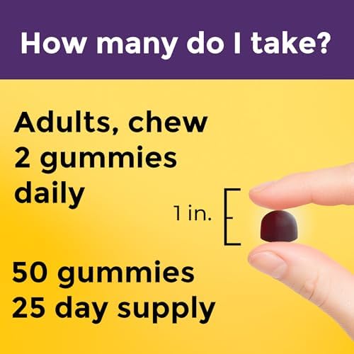 Nature Made Probiotic   Prebiotic Fiber Gummies for Daily Gut Health  Fiber Supplement with Probiotics for Digestive Health Support  50 Gummies  25 Day Supply