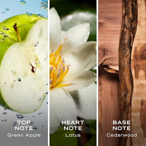 Nautica Voyage Eau De Toilette  Cologne and Fragrance For Men  Fresh  Romantic  Fruity Scent Woody  Aquatic Notes of Apple  Water Lotus  Cedarwood  and Musk Ideal Day Wear  Long Lasting 6 7Fl oz