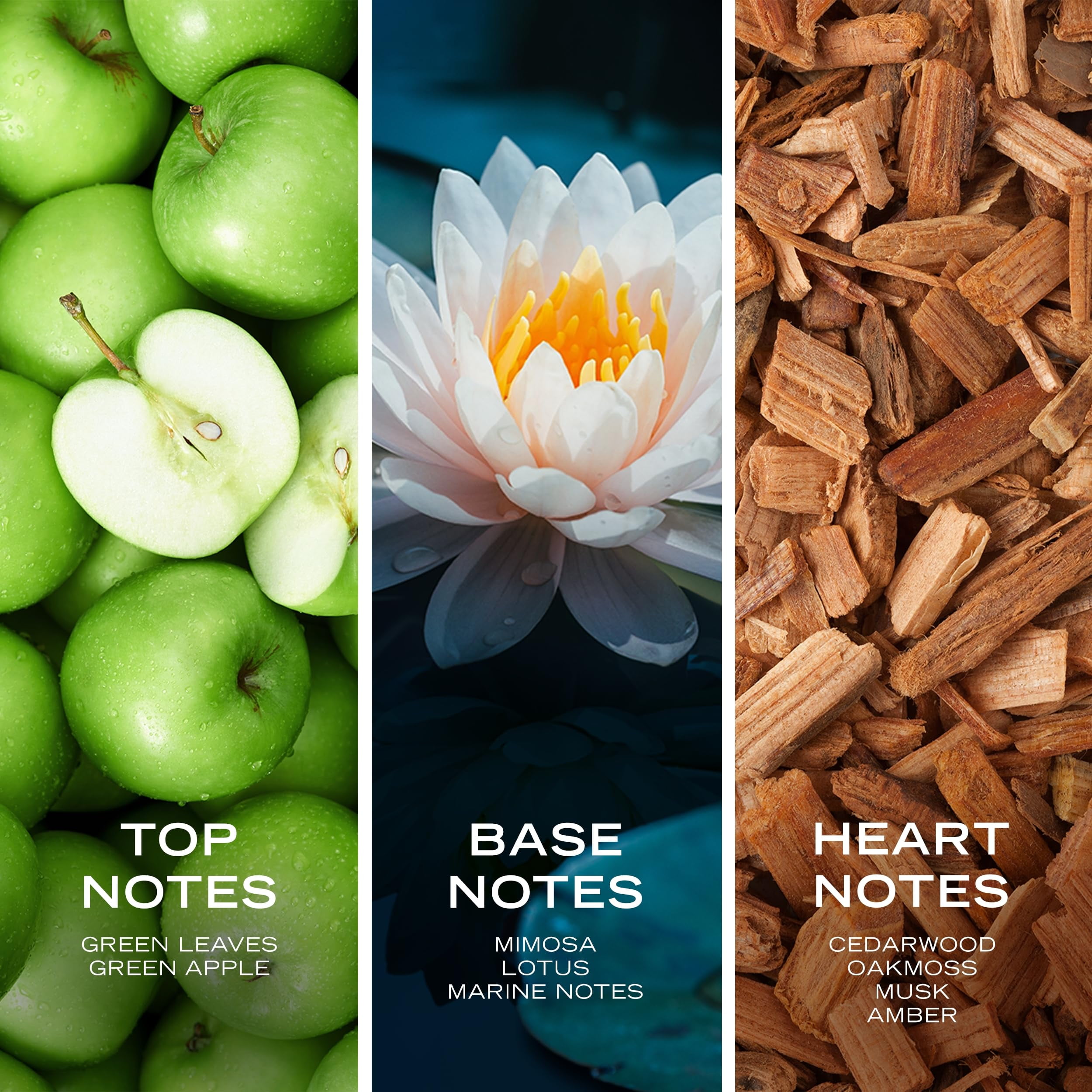 Nautica Voyage by Nautica for Men   6 7 oz EDT Spray