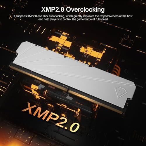 Netac DDR4 DRAM 32GB Kit16GBx2 C16 3200MHz XMP 2 0 Dual Channel RAM  PC4 25600  1 35V 288 Pin Upgraded Aluminum Heat Sink Ideal for Gaming Computer Upgrade   Shadow S