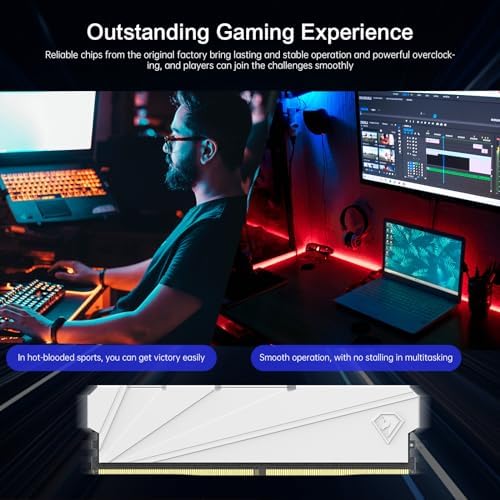 Netac DDR4 DRAM 32GB Kit16GBx2 C16 3200MHz XMP 2 0 Dual Channel RAM  PC4 25600  1 35V 288 Pin Upgraded Aluminum Heat Sink Ideal for Gaming Computer Upgrade   Shadow S