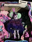 New Monster High Sweet Screams Twyla Skullector 2025 SDCC Exclusive HYW02