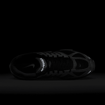 Nike Air Pegasus 2005