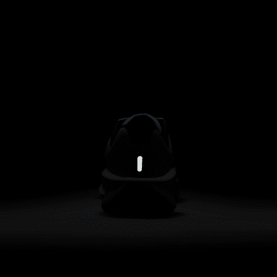 Nike Downshifter 13
