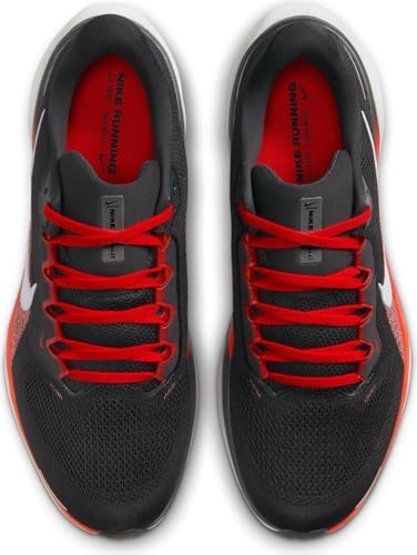 Nike Mens Air Zoom Pegasus 40