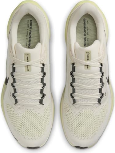 Nike Mens Air Zoom Pegasus 40