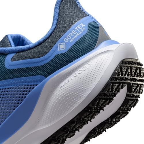 Nike Mens Air Zoom Pegasus 40