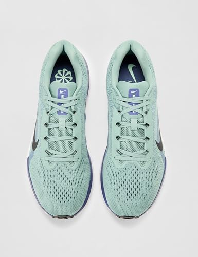 Nike Mens Winflo 11 Road Running Shoes