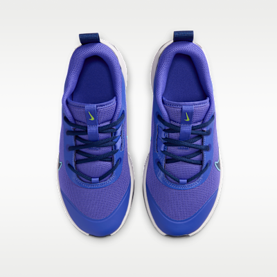 Nike Omni Multi Court