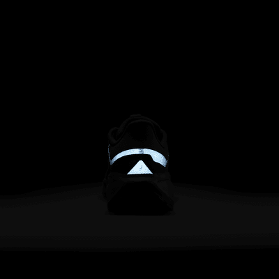 Talla 9- Nike Pegasus 41 GORE TEX