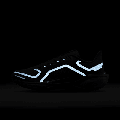 Talla 9- Nike Pegasus 41 GORE TEX