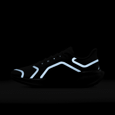 Talla 9- Nike Pegasus 41 GORE TEX