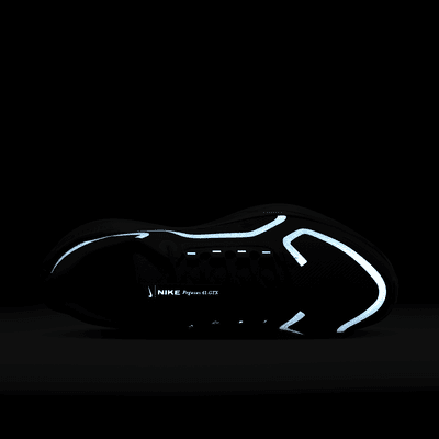 Talla 9- Nike Pegasus 41 GORE TEX