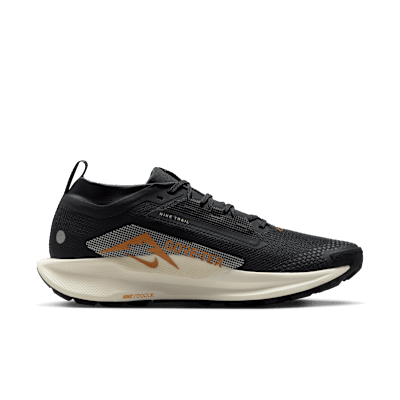 Nike Pegasus Trail 5 GORE TEX