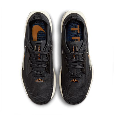 Nike Pegasus Trail 5 GORE TEX