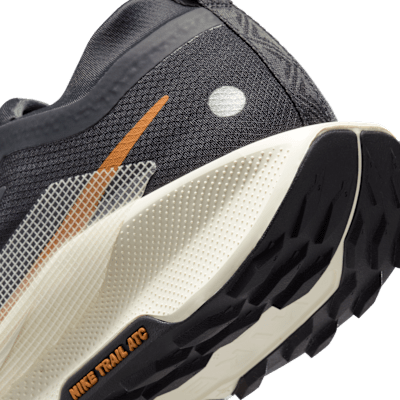 Nike Pegasus Trail 5 GORE TEX