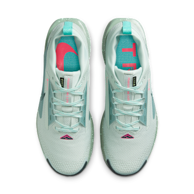 Nike Pegasus Trail 5 GORE TEX