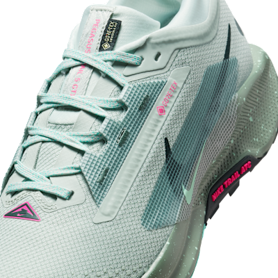 Nike Pegasus Trail 5 GORE TEX