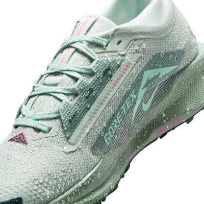 Nike Pegasus Trail 5 GORE TEX