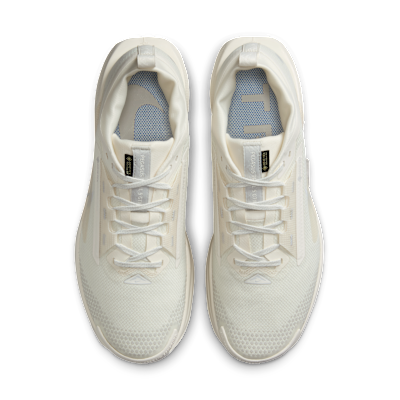 Nike Pegasus Trail 5 GORE TEX