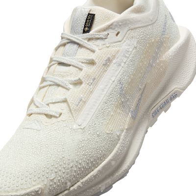 Nike Pegasus Trail 5 GORE TEX